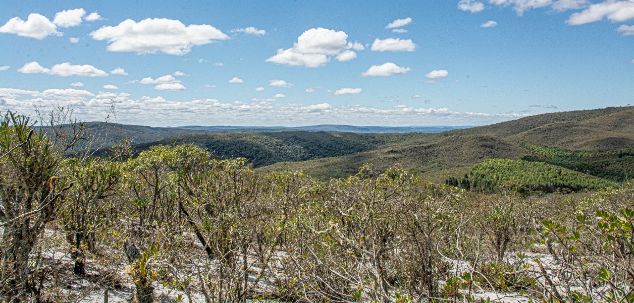 Paisagem Serra Negra