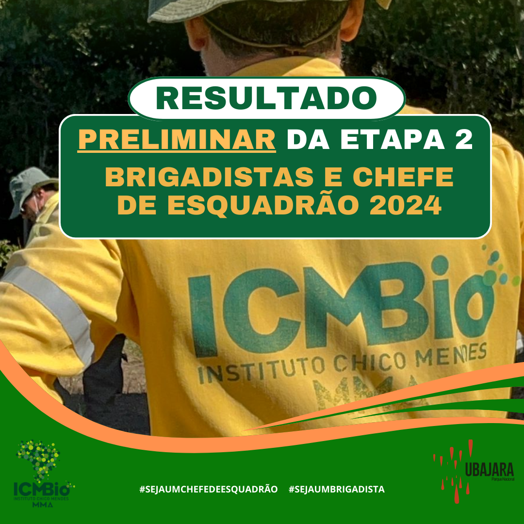 capa brigada 1